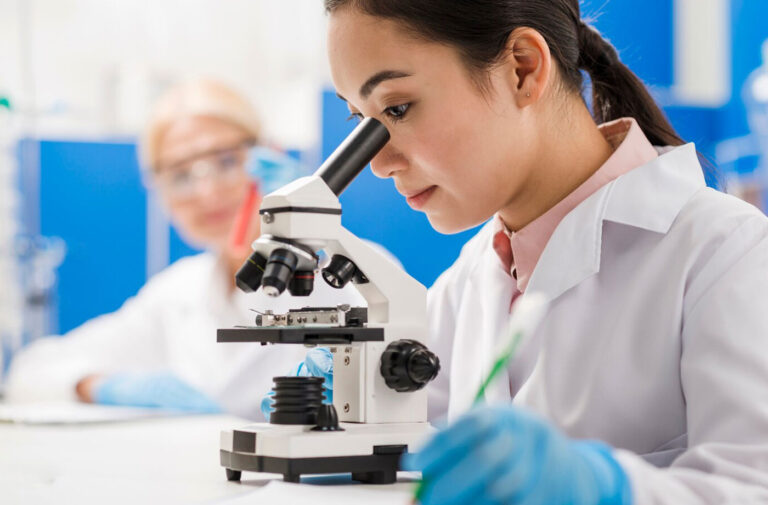 راهنمای گام به گام ایجاد وبلاگ در وردپرس